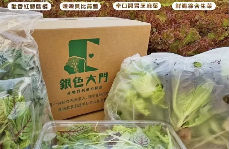 【低溫免運】無毒水耕生菜箱（可選配：紅酸模、芝麻葉、貝比萵苣）