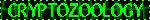 2026-04-06-405169d9-9b69-4e3b-9ea9-2acf58b0fb91.gif