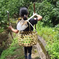 小孩體驗背圓鍬