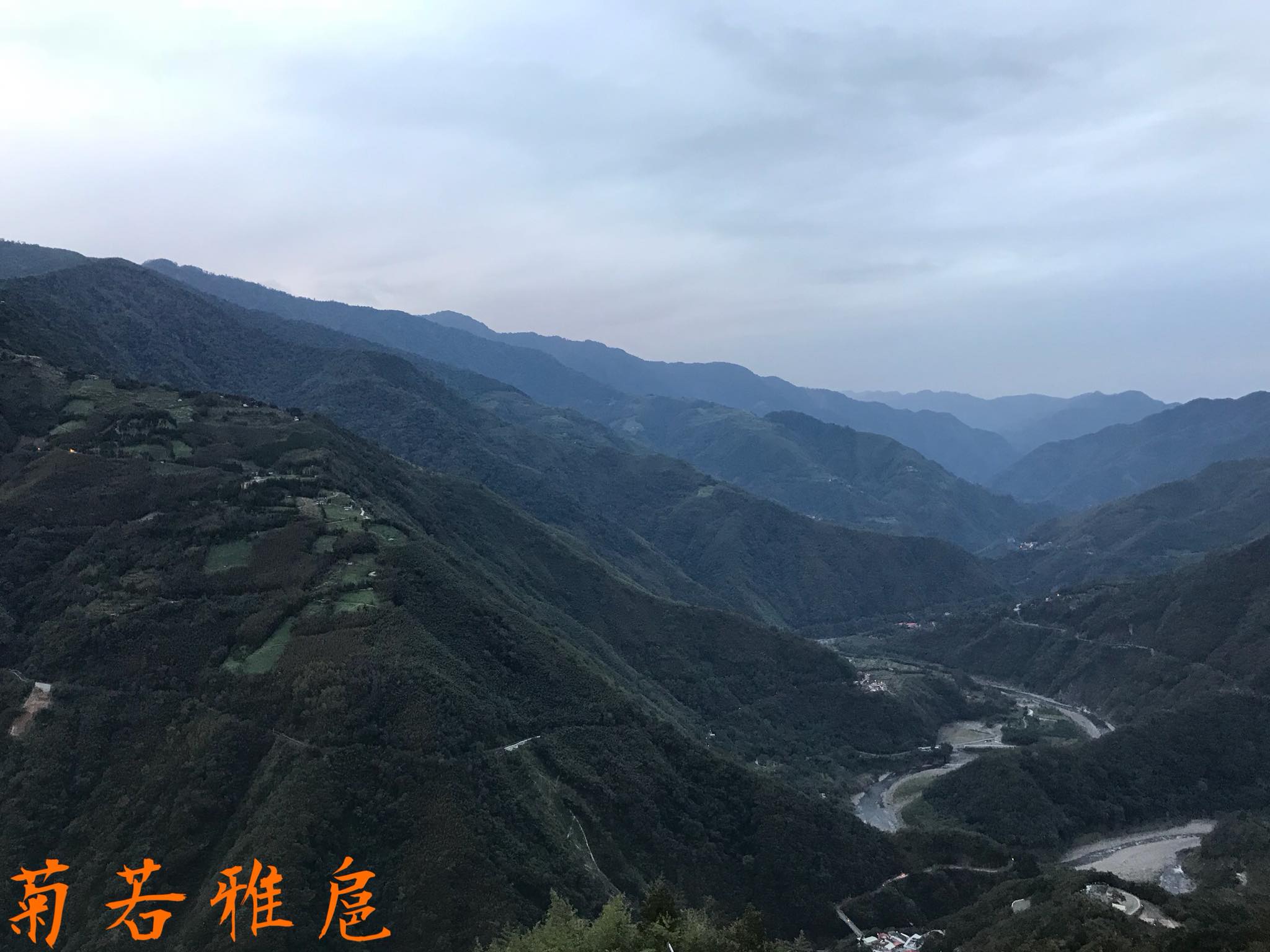 紫色花海大景