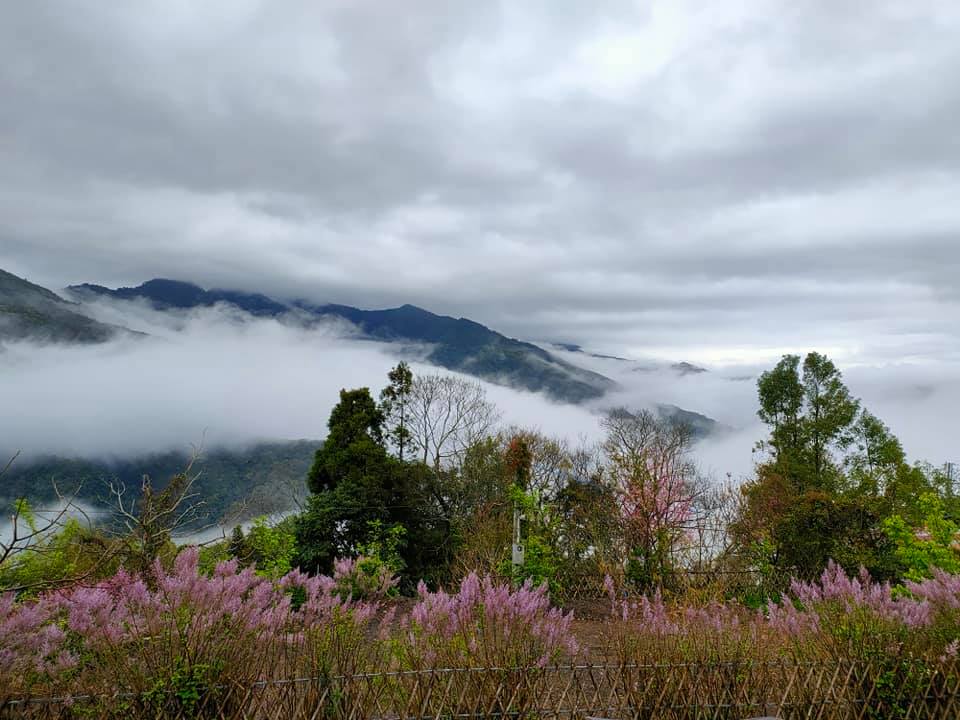 露營視野