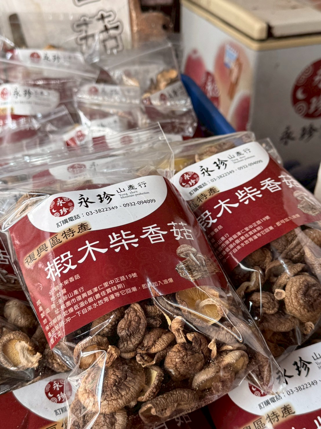 椴木香菇