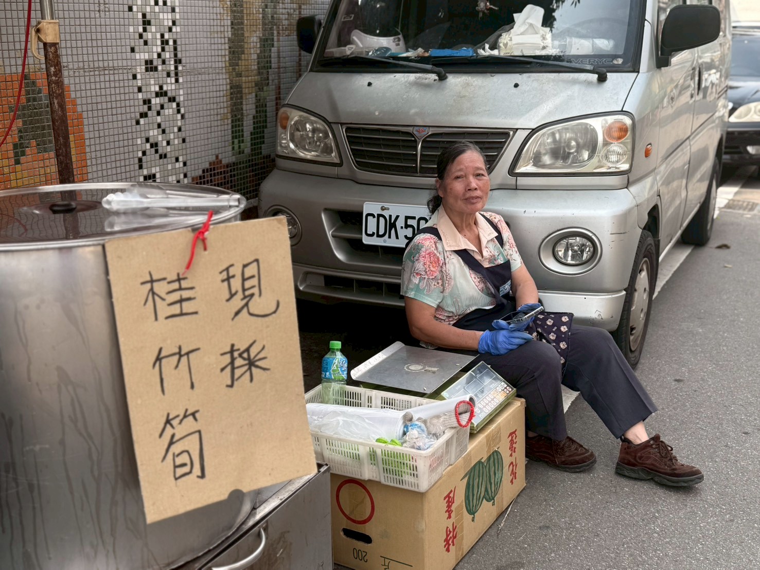 手作紫蘇梅與物產