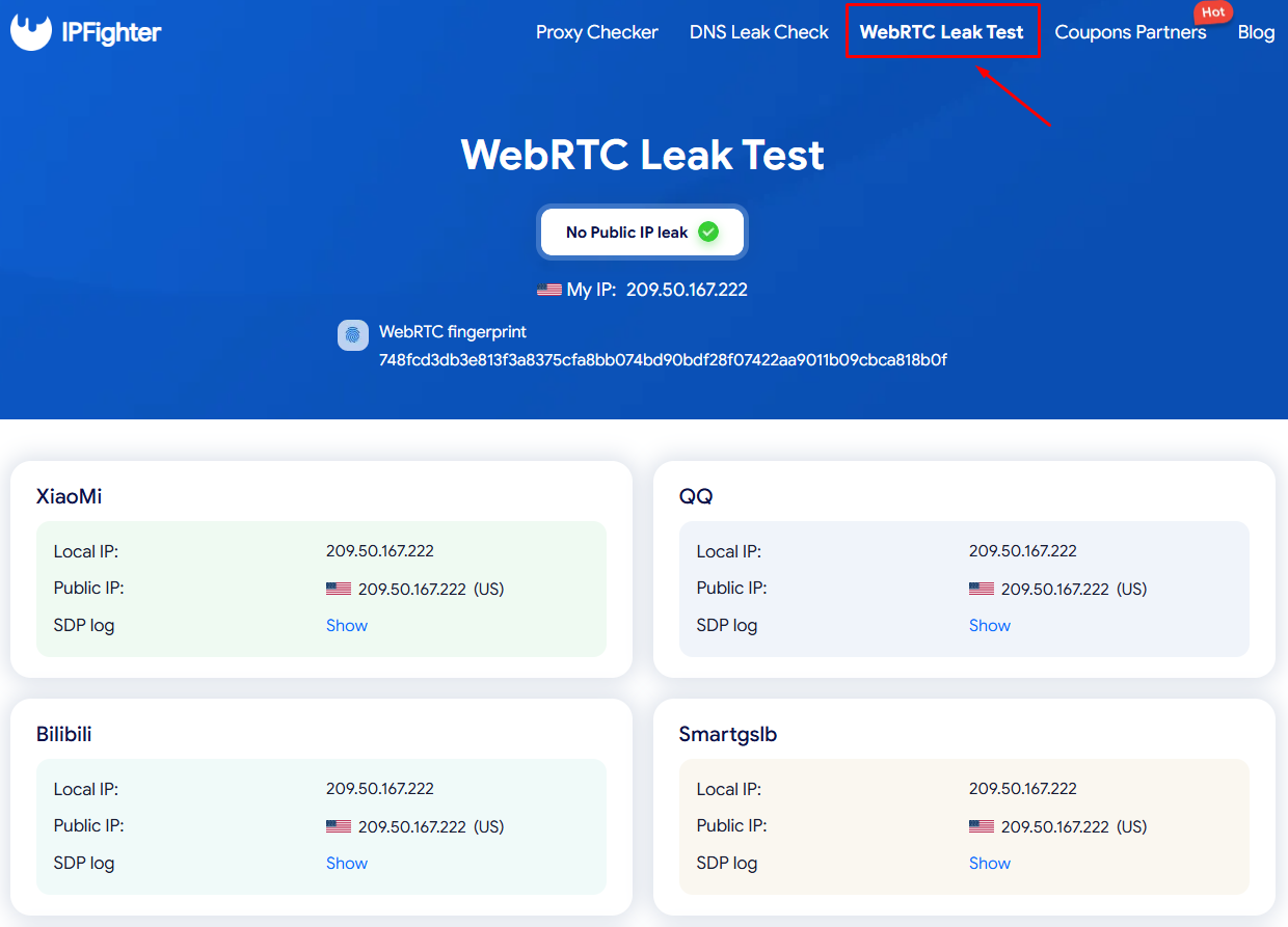 WebRTC Leak check section in IPFighter