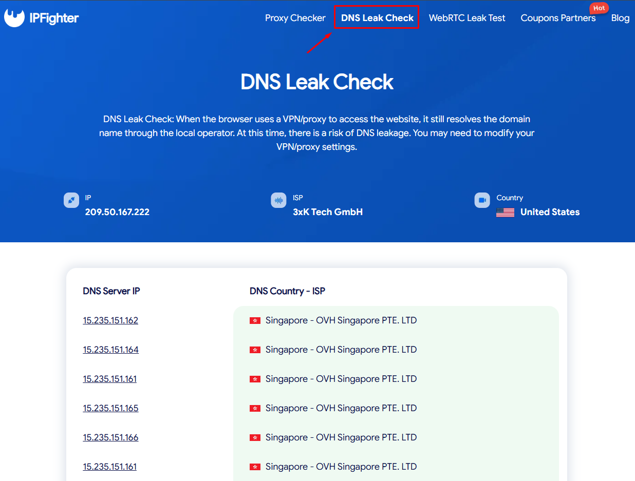 DNS Leak test section in IPFighter