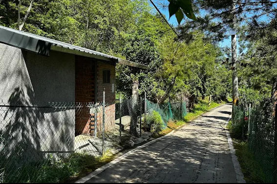 營區山路挑戰