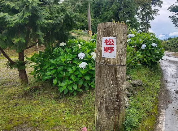 松野農園雲海景致