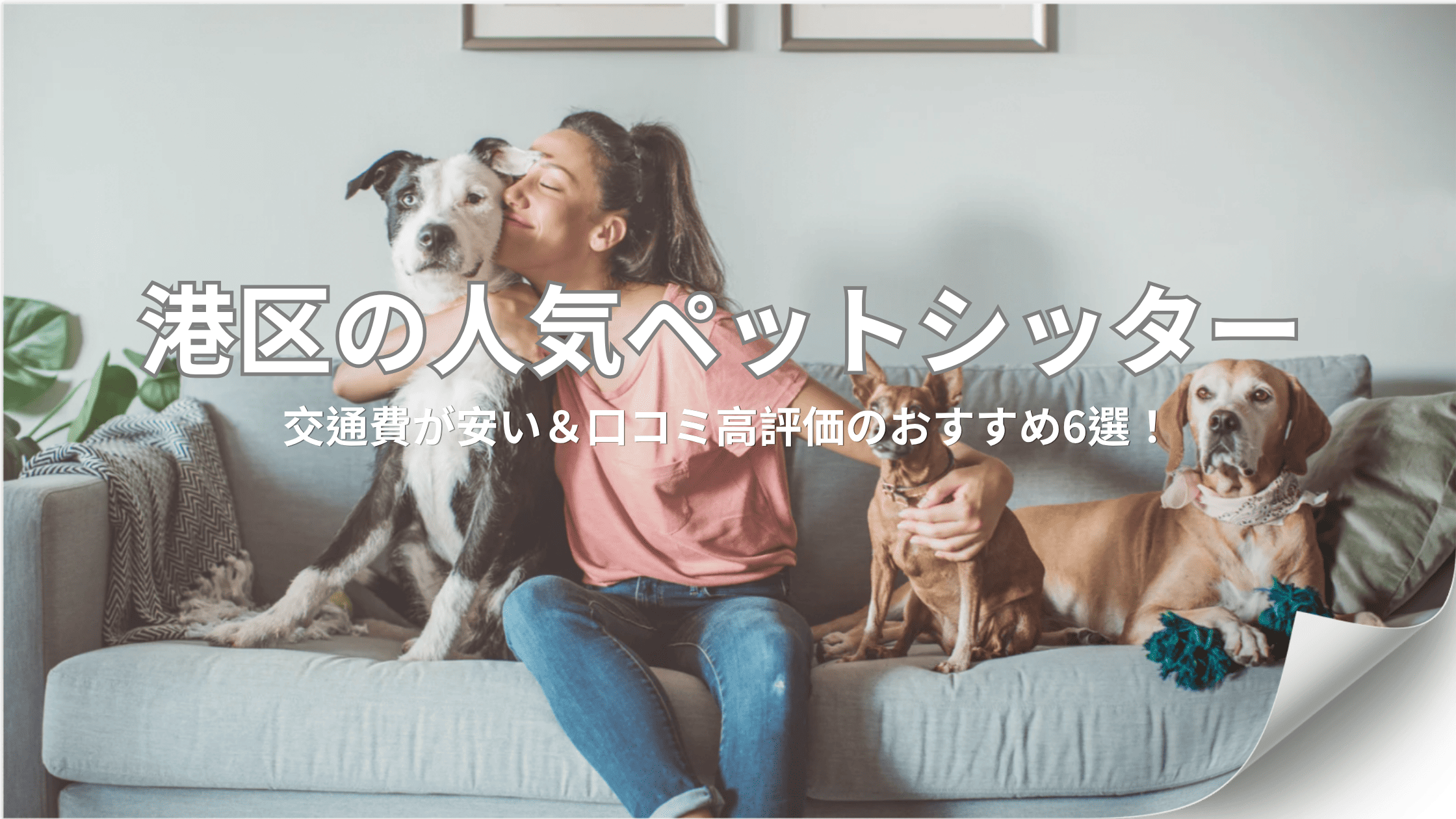 港区でペットシッターを探している飼い主さんに向けて、選び方のコツや、おすすめシッター6選を分かりやすくまとめました。