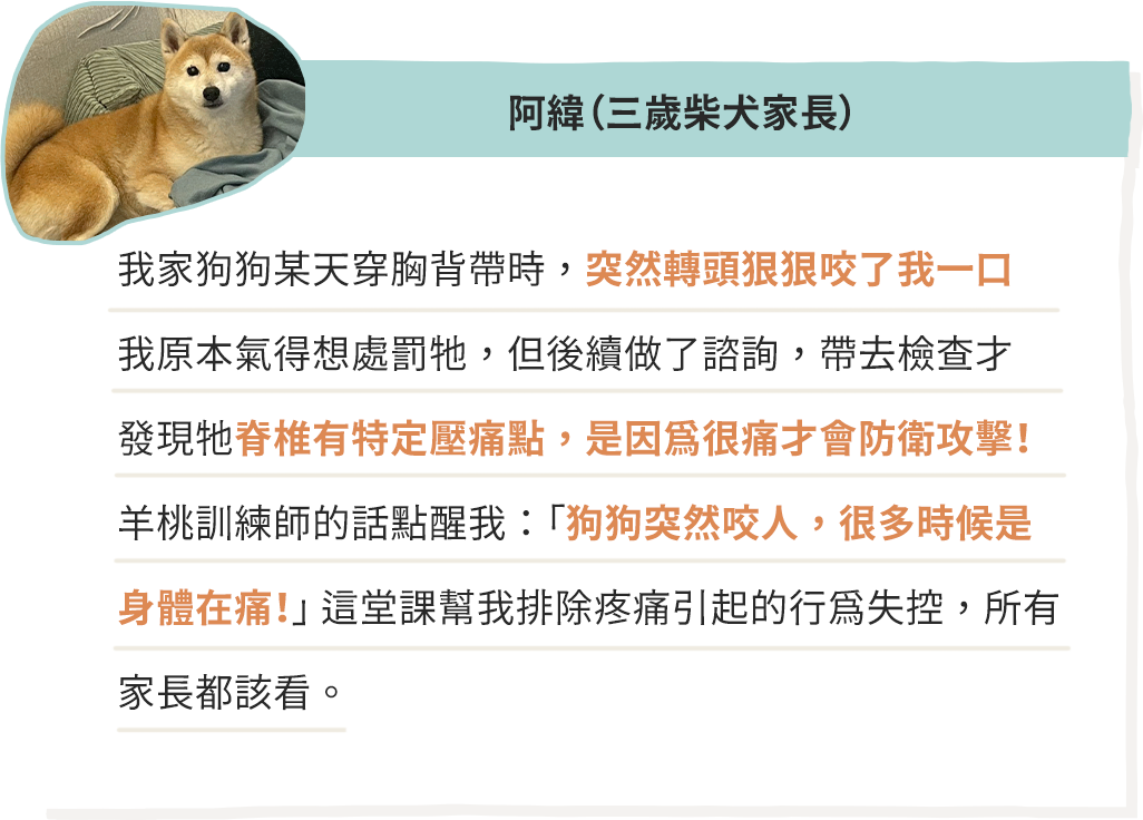 學員好評 4