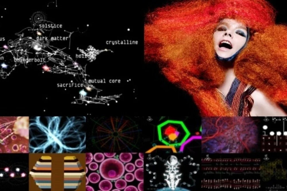 Imagen de Biophilia