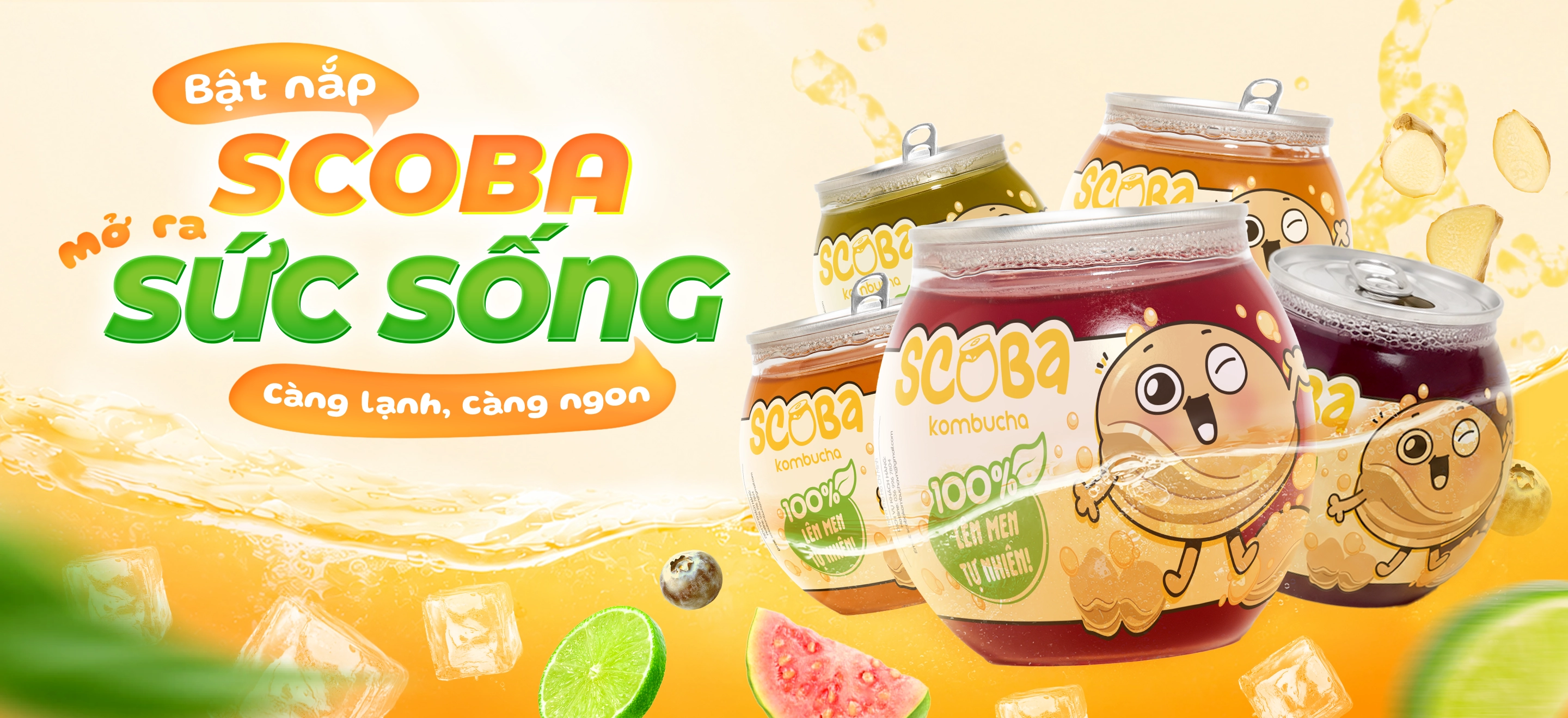 Scoba Kombucha Banner 2