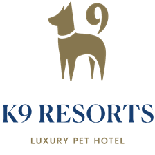 K9 Resorts Luxury Pet Hotel Pompano Beach