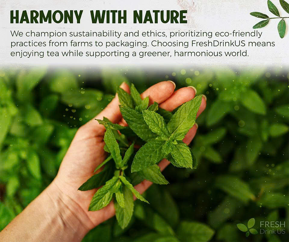 Tea leaves growing in nature
