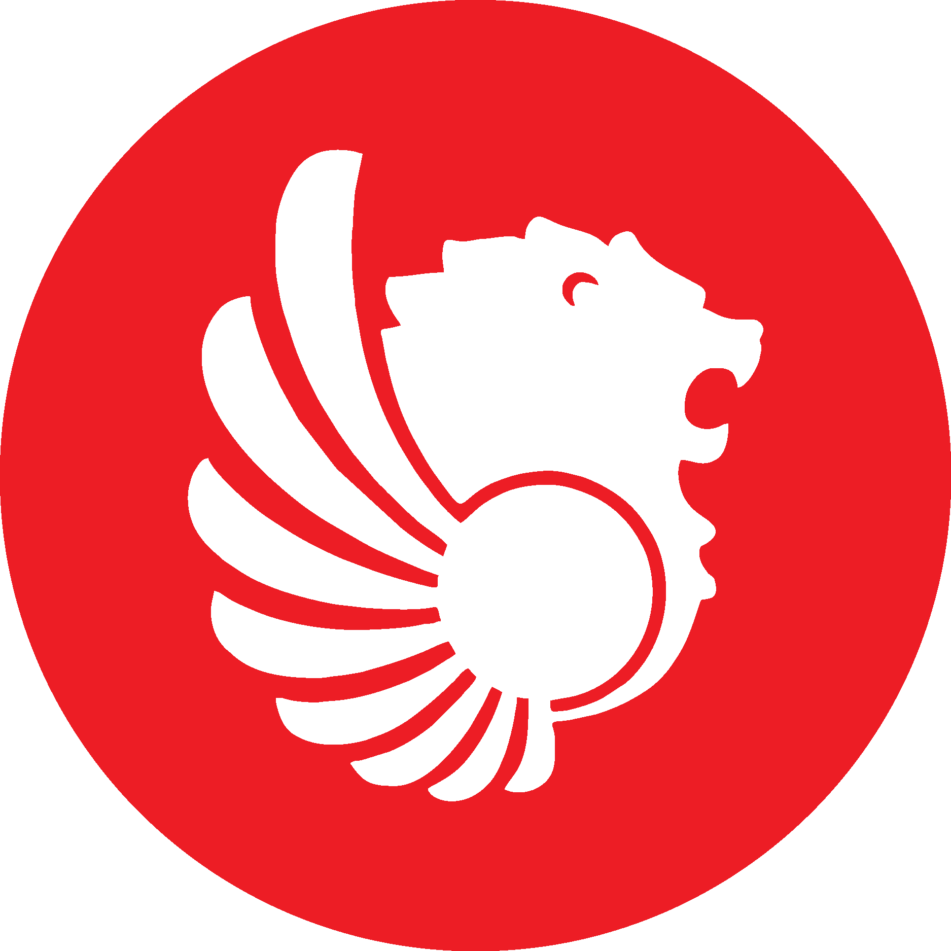 Airline 5