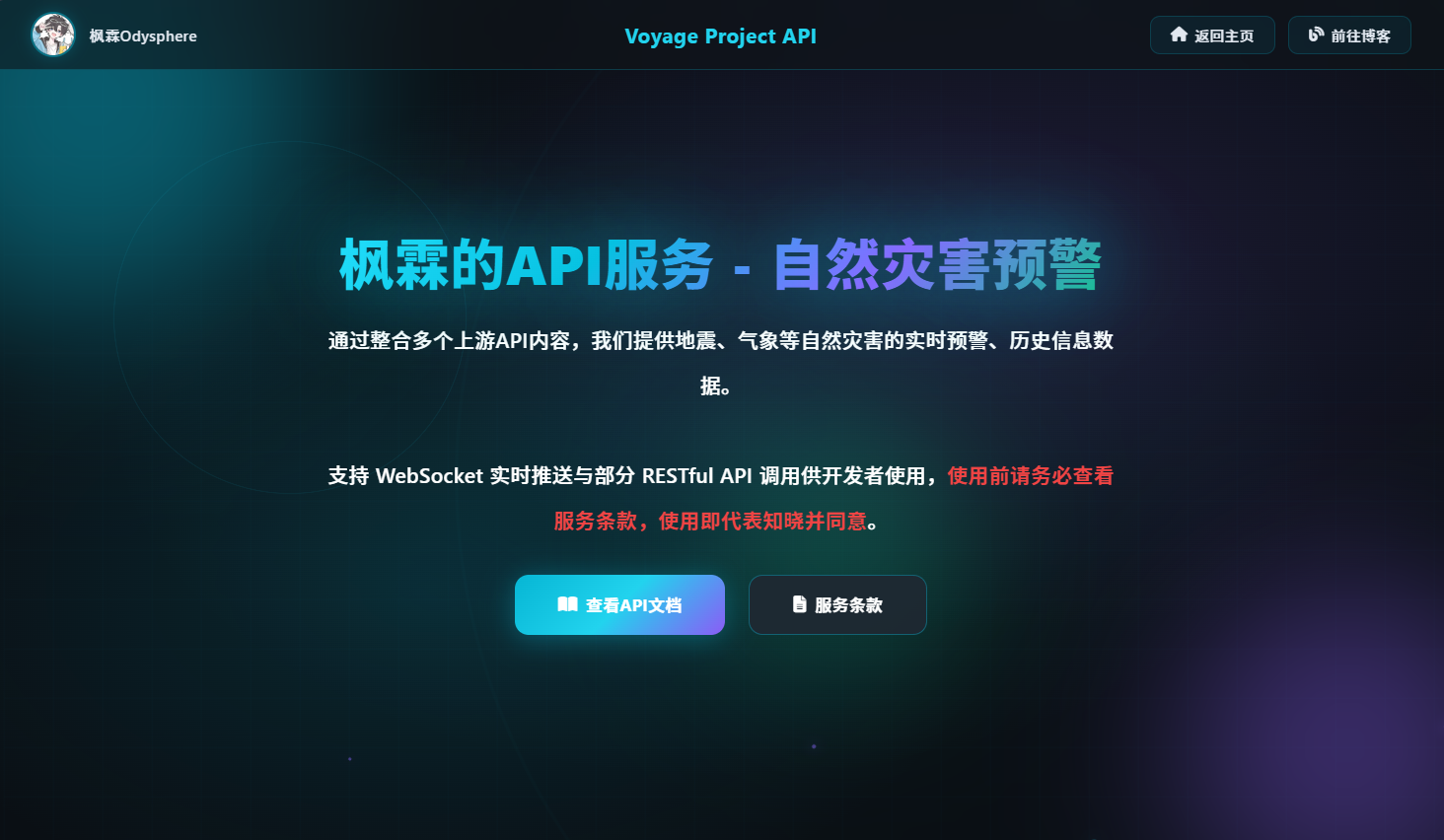 Voyage Project API