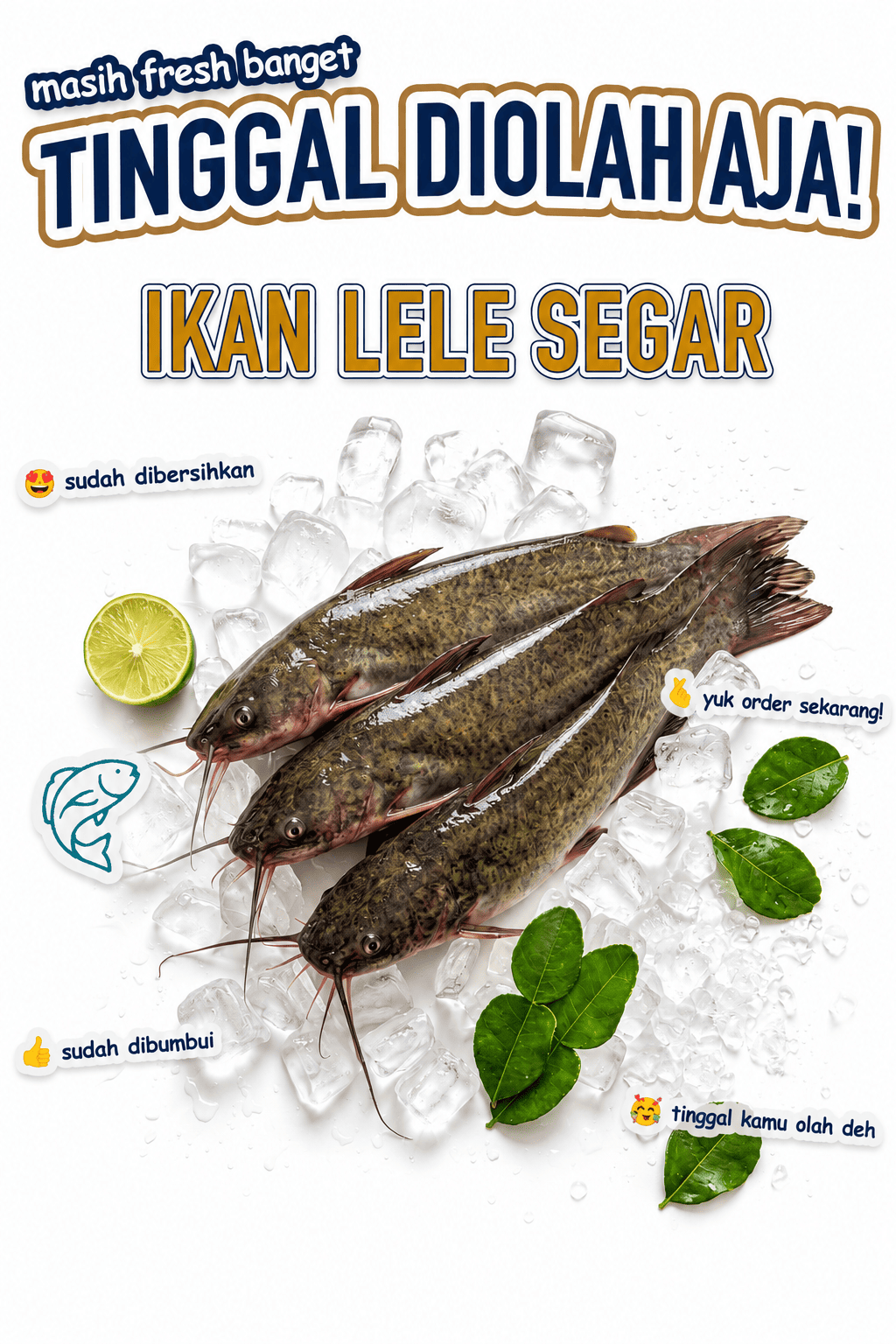 Ikan Lele Segar