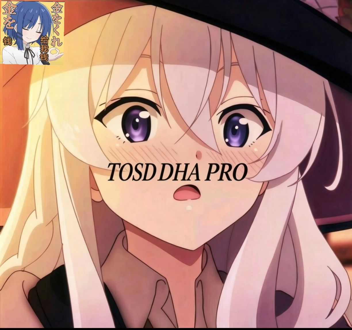 TOSD DHA PRO 版图标
