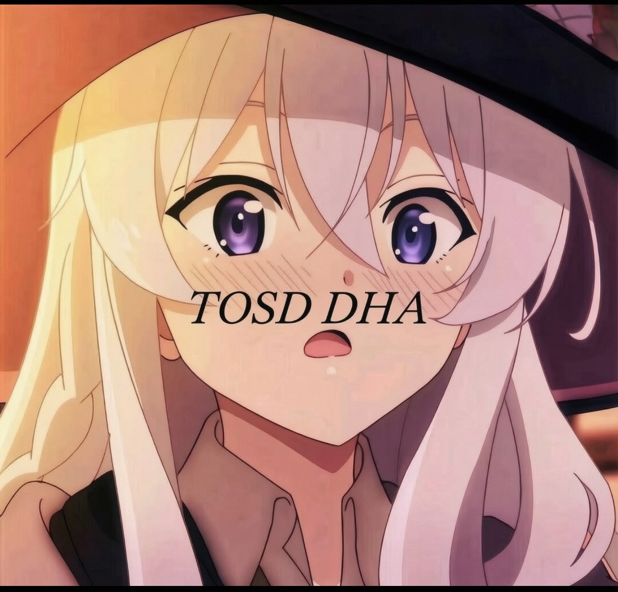 TOSD DHA 标准版图标