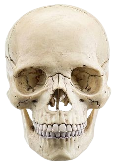 Violent Death PNG Logo