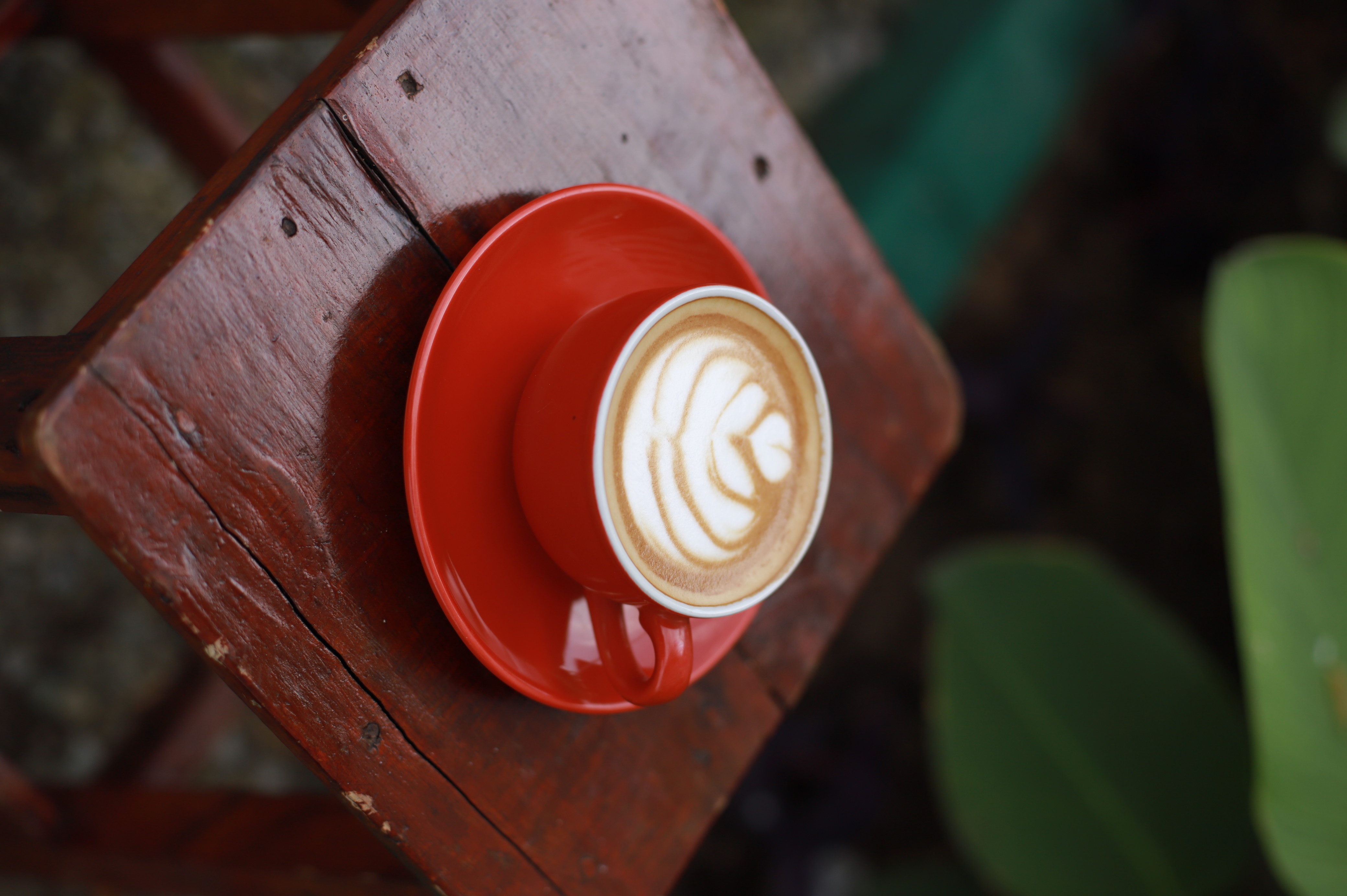 Cappuccino