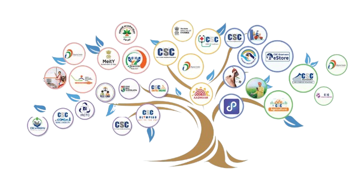 Government Digital Services Network