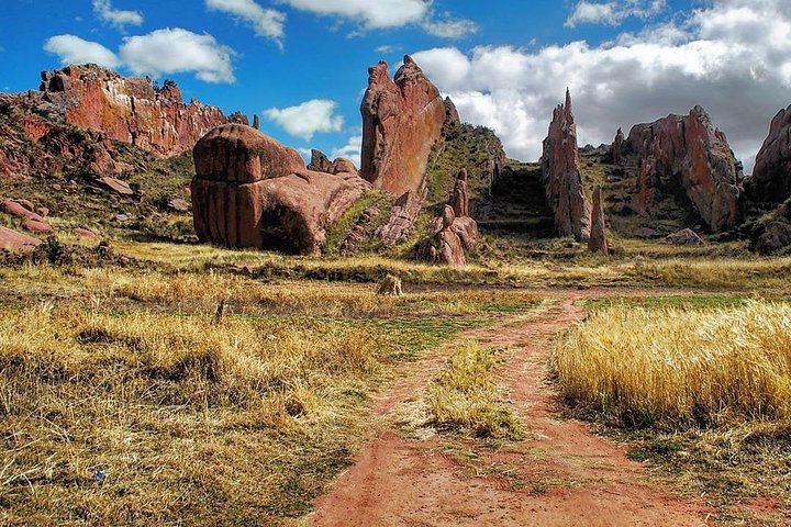 Puno - Tiahuanaco - Puno