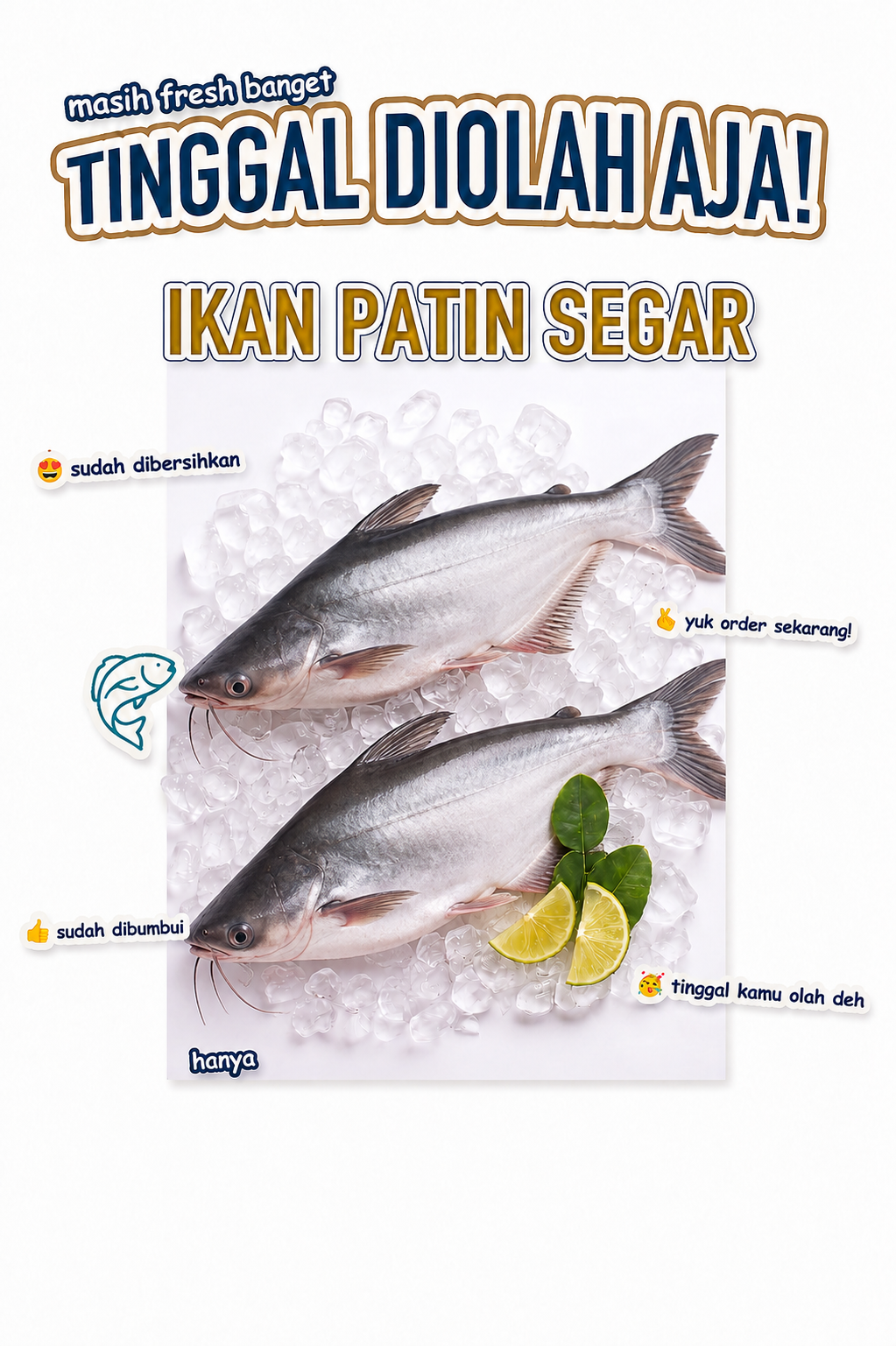 Ikan PATIN Segar