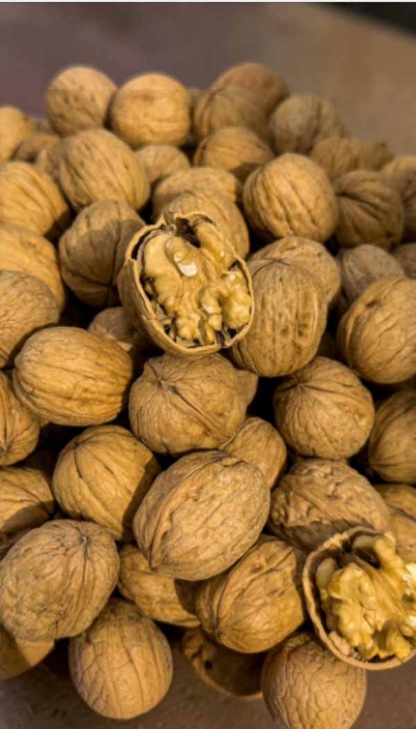 AFGHAN SHAHI MALAI AKHROT