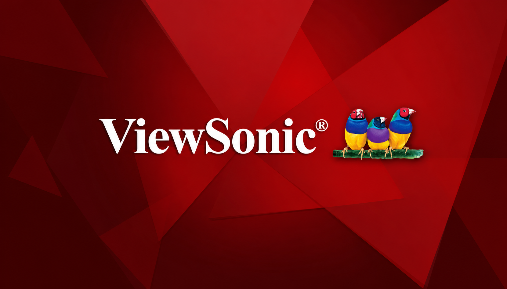 ViewSonic CN6501-1C 65 Inch 4K Commercial Display