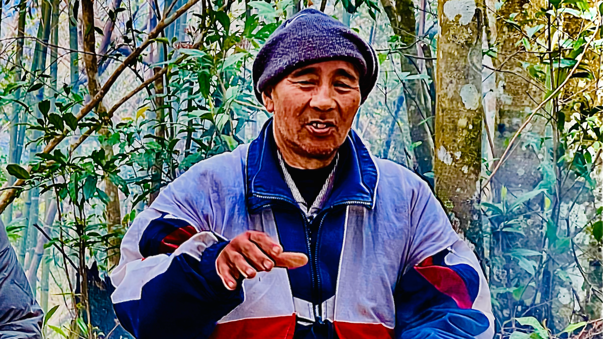 部落耆老的火堆智慧