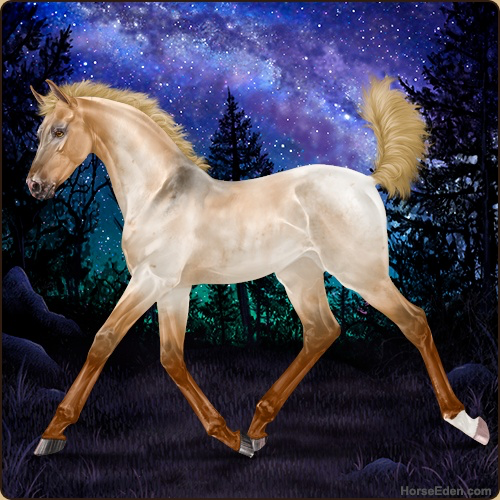 2026-05-19-0d2d7df0-c4d2-4361-b00c-44dbb112c646.png
