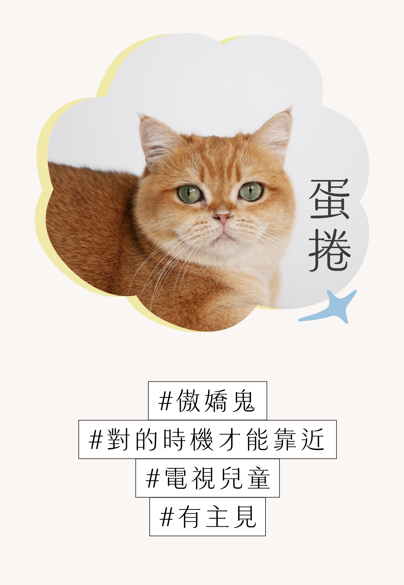 蛋捲