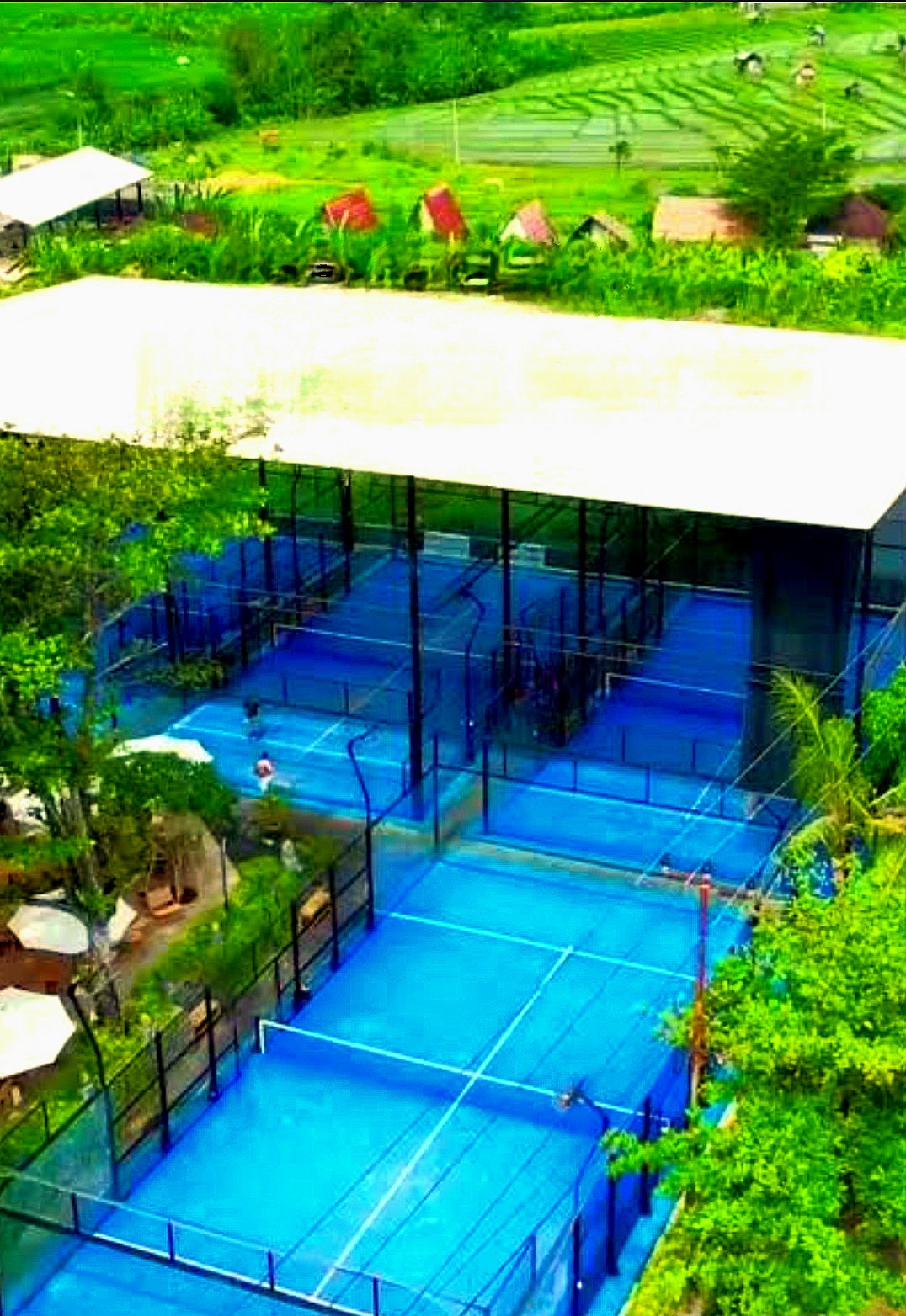 Tenis Padel di Tempat Terbuka Tersembunyi 