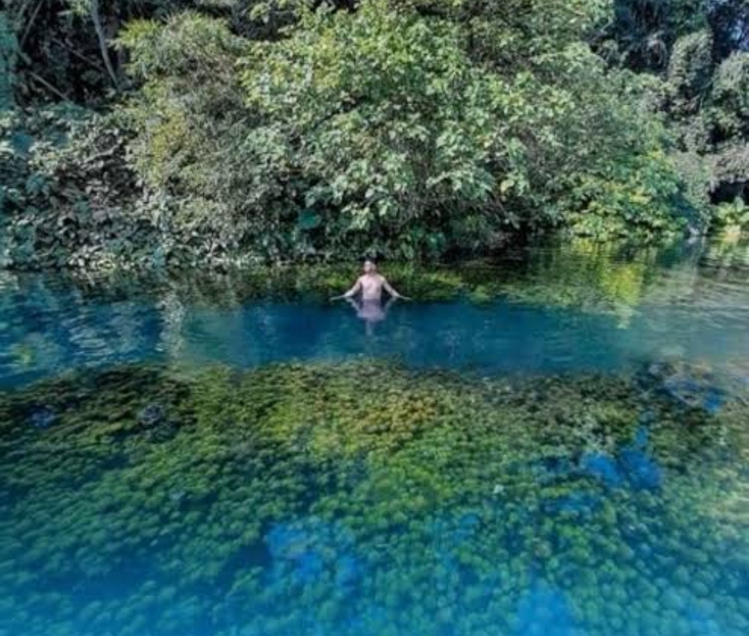 Menyelam Bebas di Teluk Biru Sumber Sirah