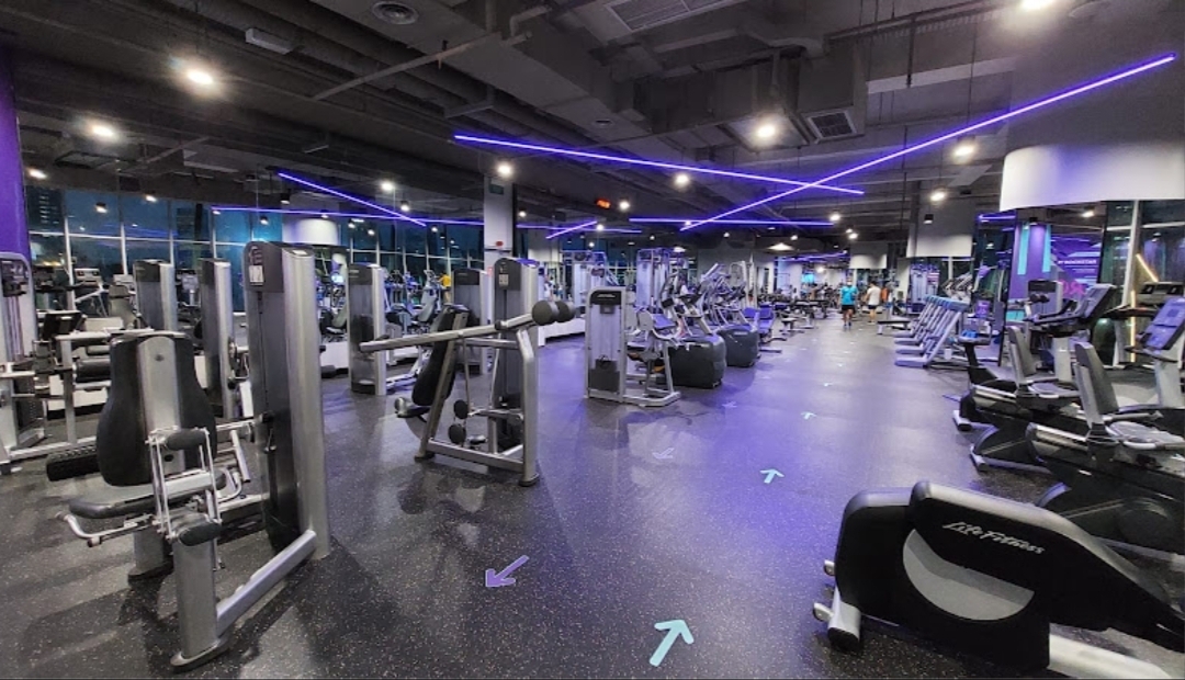 Celebrity Fitness