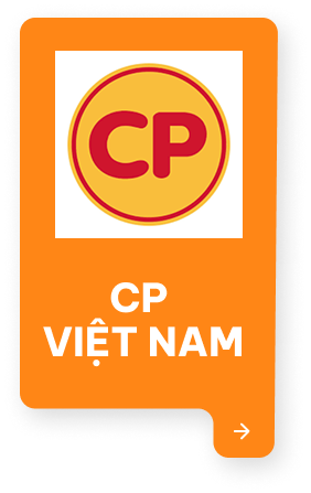CP VIỆT NAM