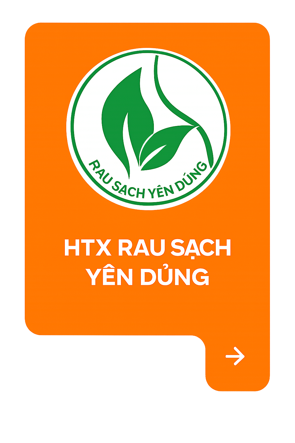 HTX RAU SẠCH YÊN DŨNG
