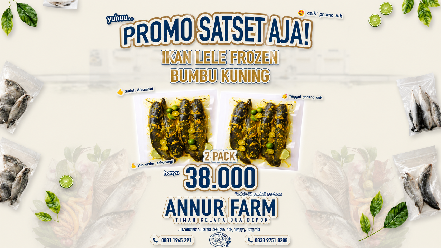 Promo 3