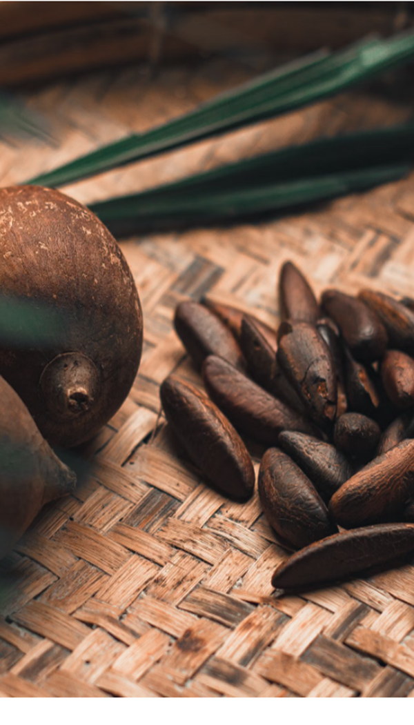 PREMIUM AFGHAN PINE NUTS WITH SHELL (CHILGOZA / CHIGOJE / NEZE