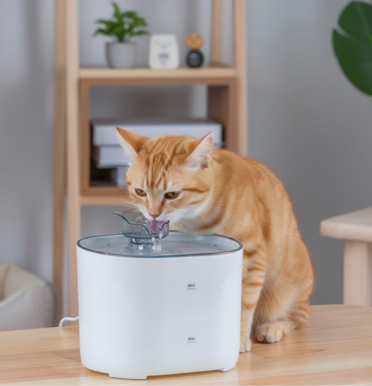 Smart Water Dispenser LEVURI in White