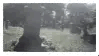 graveyard stamp.webp