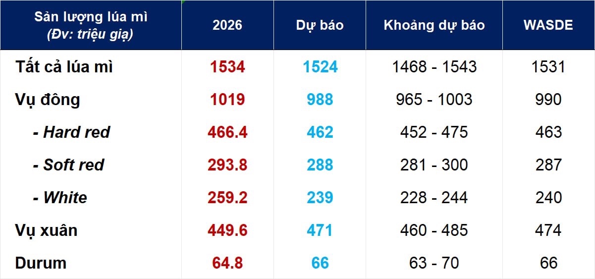 Chênh lệch Lúa mỳ vụ Đông - Xuân