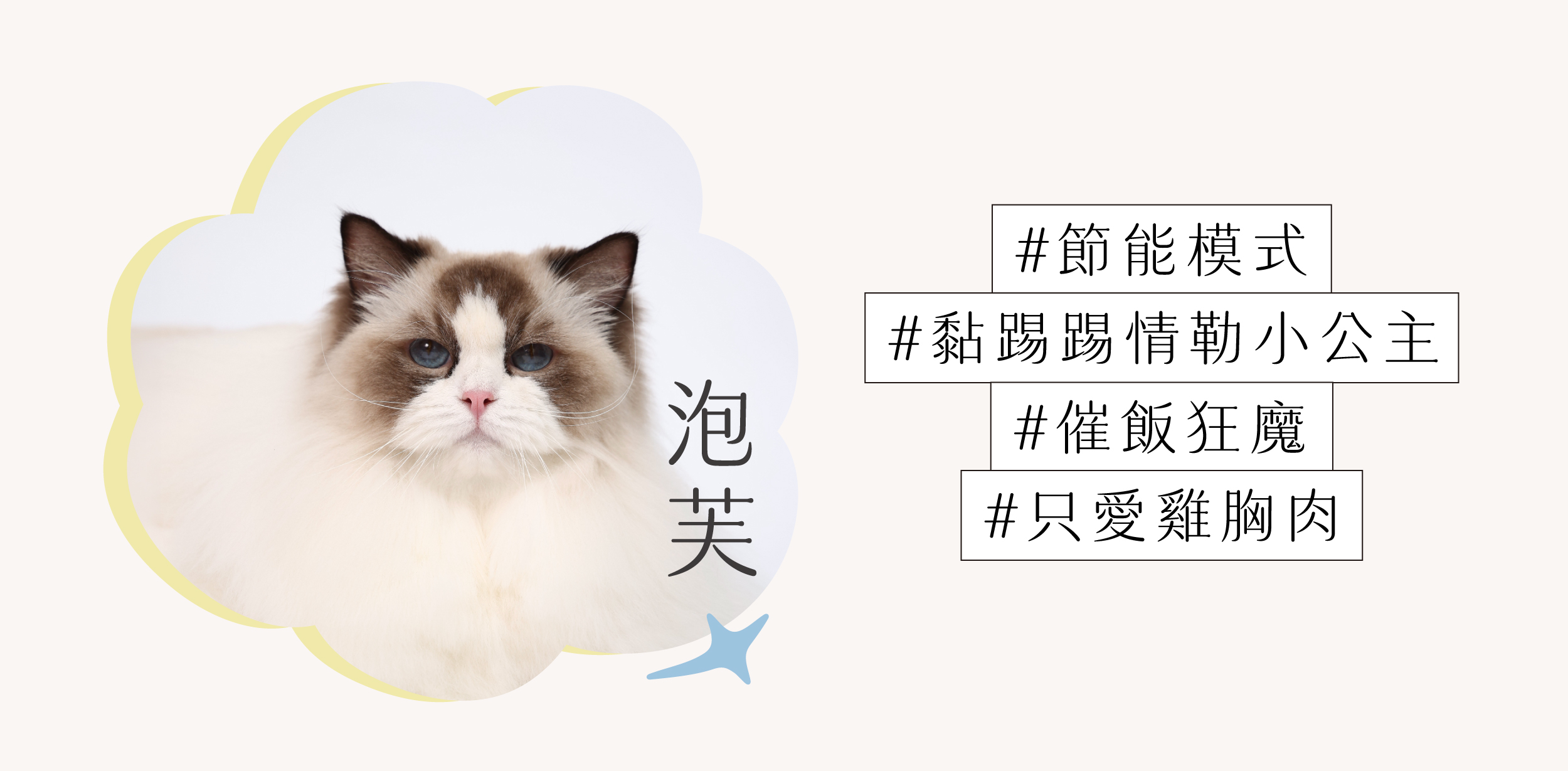 泡芙