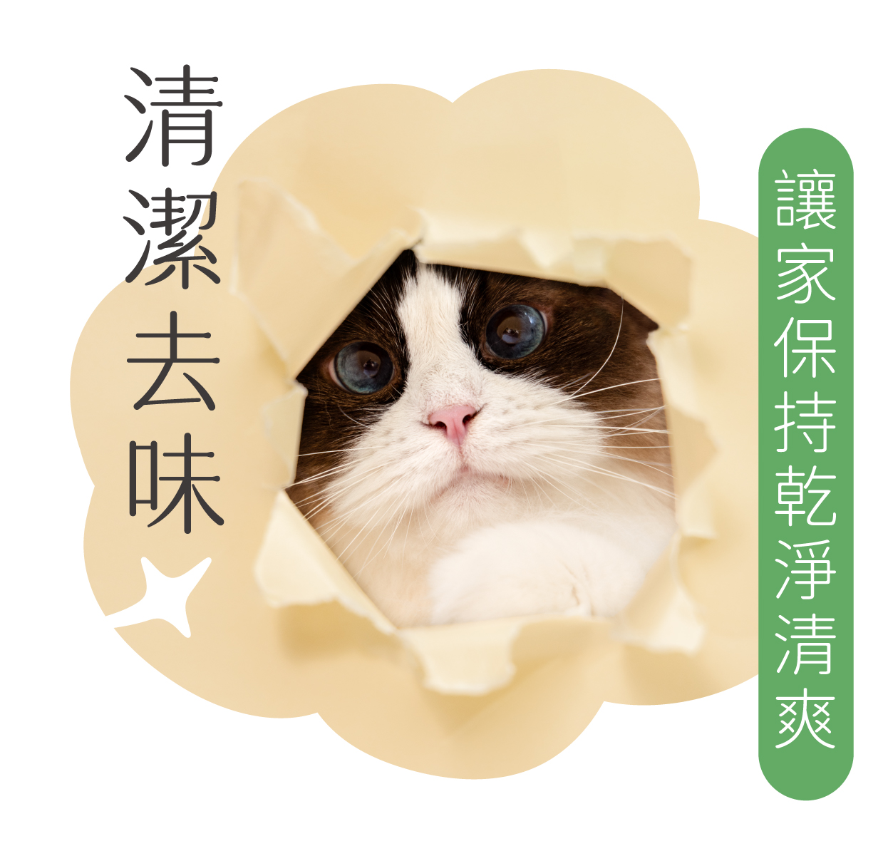 毛髮清潔去除異味