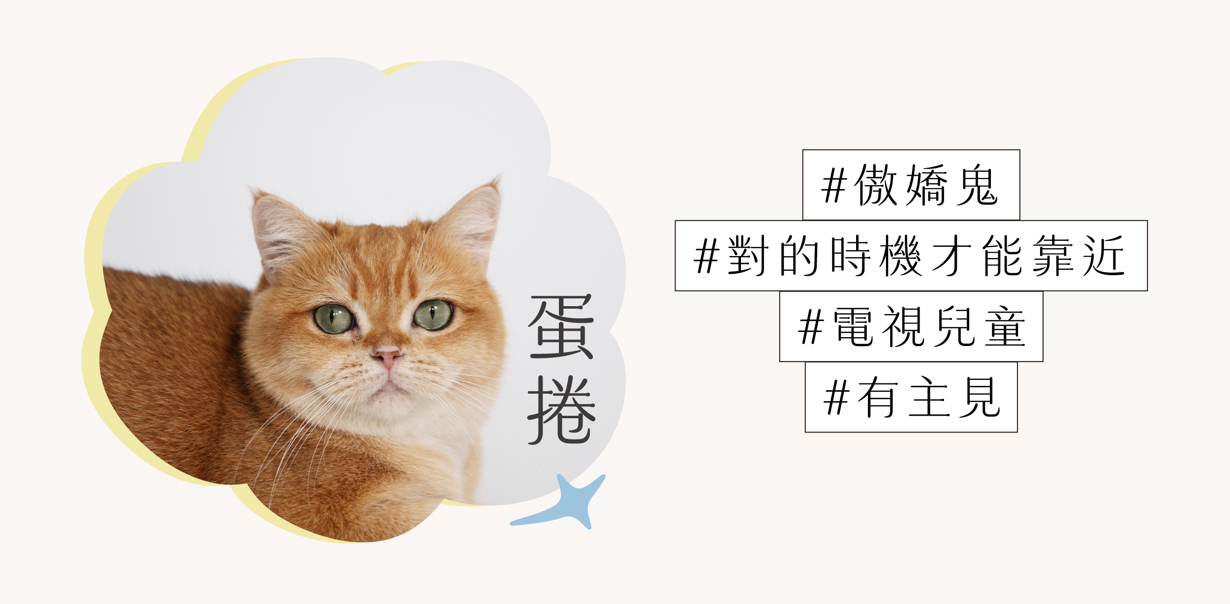 蛋捲