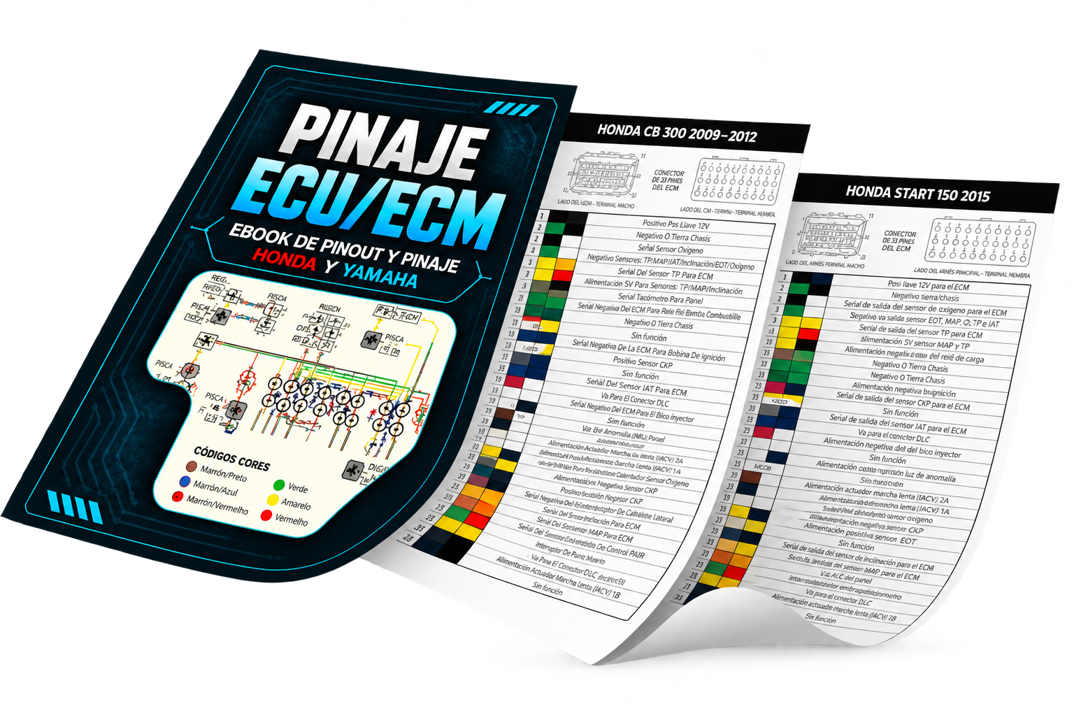 Manuales de Pinaje ECU ECM y Parámetros Técnicos