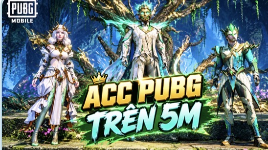 Acc Pubg Mobile Trên 5M