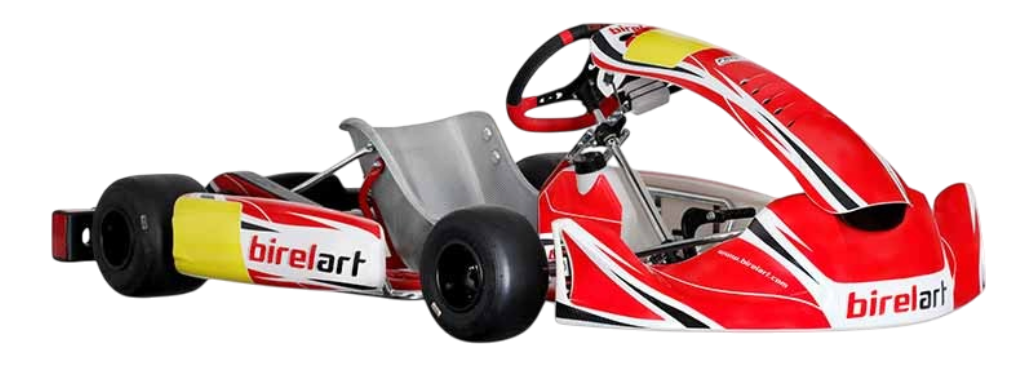 Birel Art karts