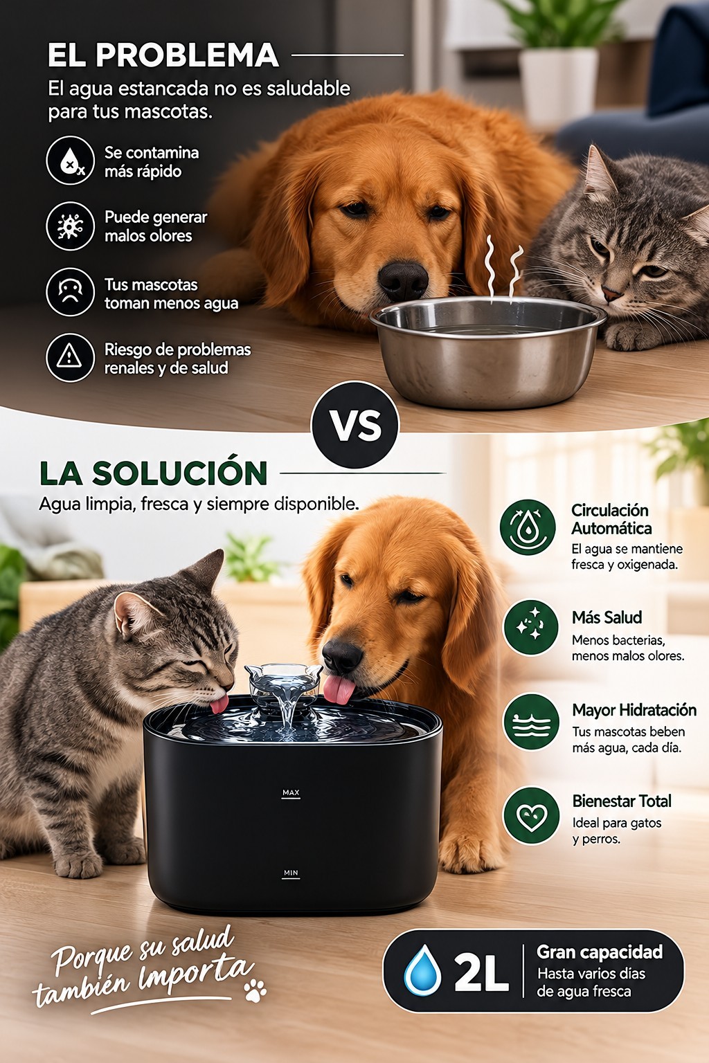 Pet drinking from the LEVURI water dispenser