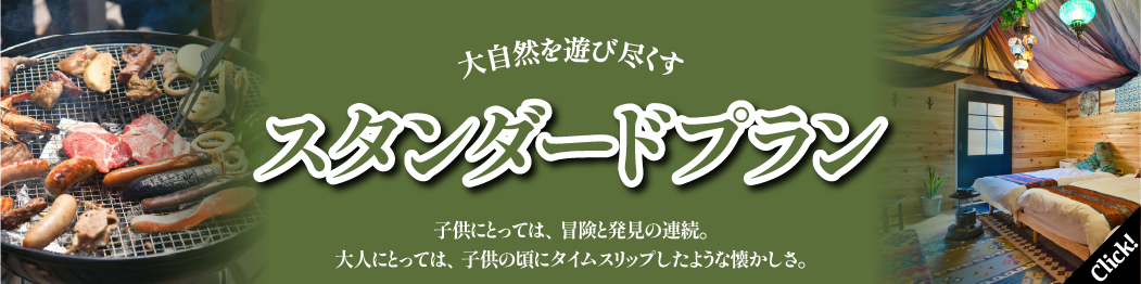 スタンダードプラン